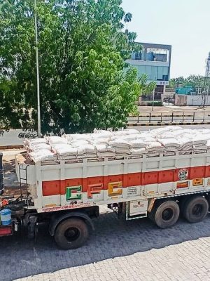 WhatsApp Image 2025-09-10 at 12.07.40 PM (1)