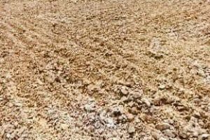 WhatsApp Image 2025-09-10 at 12.07.41 PM (1)