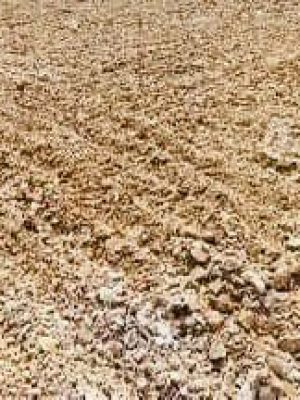 WhatsApp Image 2025-09-10 at 12.07.41 PM (1)