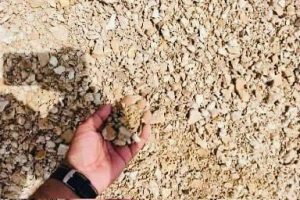 WhatsApp Image 2025-09-10 at 12.07.41 PM (2)