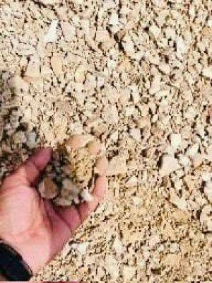 WhatsApp Image 2025-09-10 at 12.07.41 PM (2)