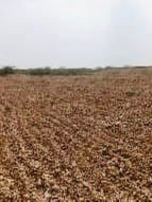 WhatsApp Image 2025-09-10 at 12.07.42 PM (1)