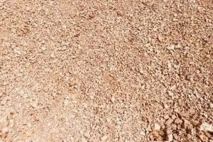 WhatsApp Image 2025-09-10 at 12.07.42 PM