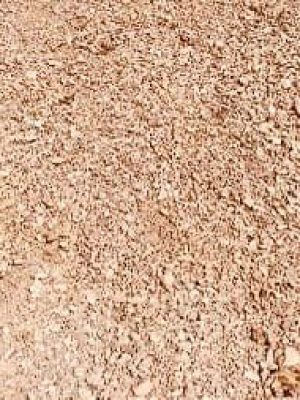 WhatsApp Image 2025-09-10 at 12.07.42 PM