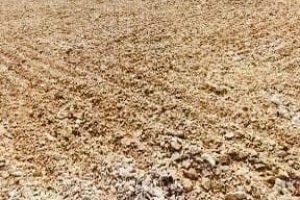 WhatsApp Image 2025-09-10 at 12.07.43 PM (1)