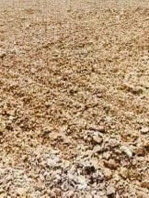 WhatsApp Image 2025-09-10 at 12.07.43 PM (1)