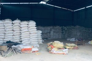 WhatsApp Image 2025-09-10 at 12.07.44 PM (1)