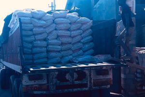 WhatsApp Image 2025-09-10 at 12.07.44 PM