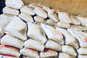 WhatsApp Image 2025-09-10 at 12.07.45 PM (2)