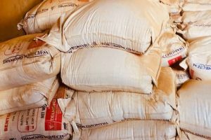 WhatsApp Image 2025-09-10 at 12.07.45 PM