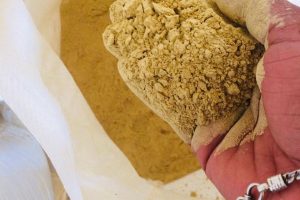 WhatsApp Image 2025-09-10 at 12.10.02 PM (1)