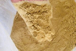 WhatsApp Image 2025-09-10 at 12.10.02 PM