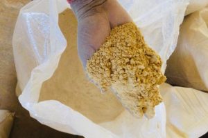 WhatsApp Image 2025-09-10 at 12.10.03 PM (1)