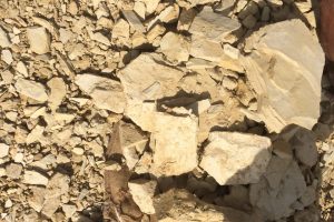 WhatsApp Image 2025-09-10 at 12.10.18 PM