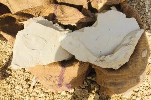 WhatsApp Image 2025-09-10 at 12.10.19 PM